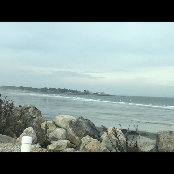 Meet your Posher, Leta - Picture 4 of 8